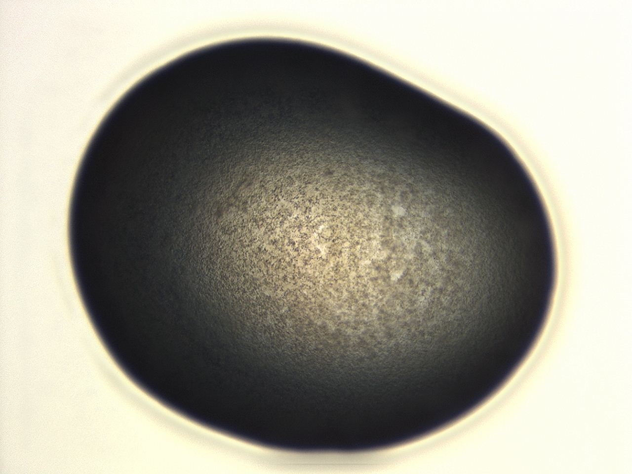 04ep_H2_ImagerDefaults_3.jpg