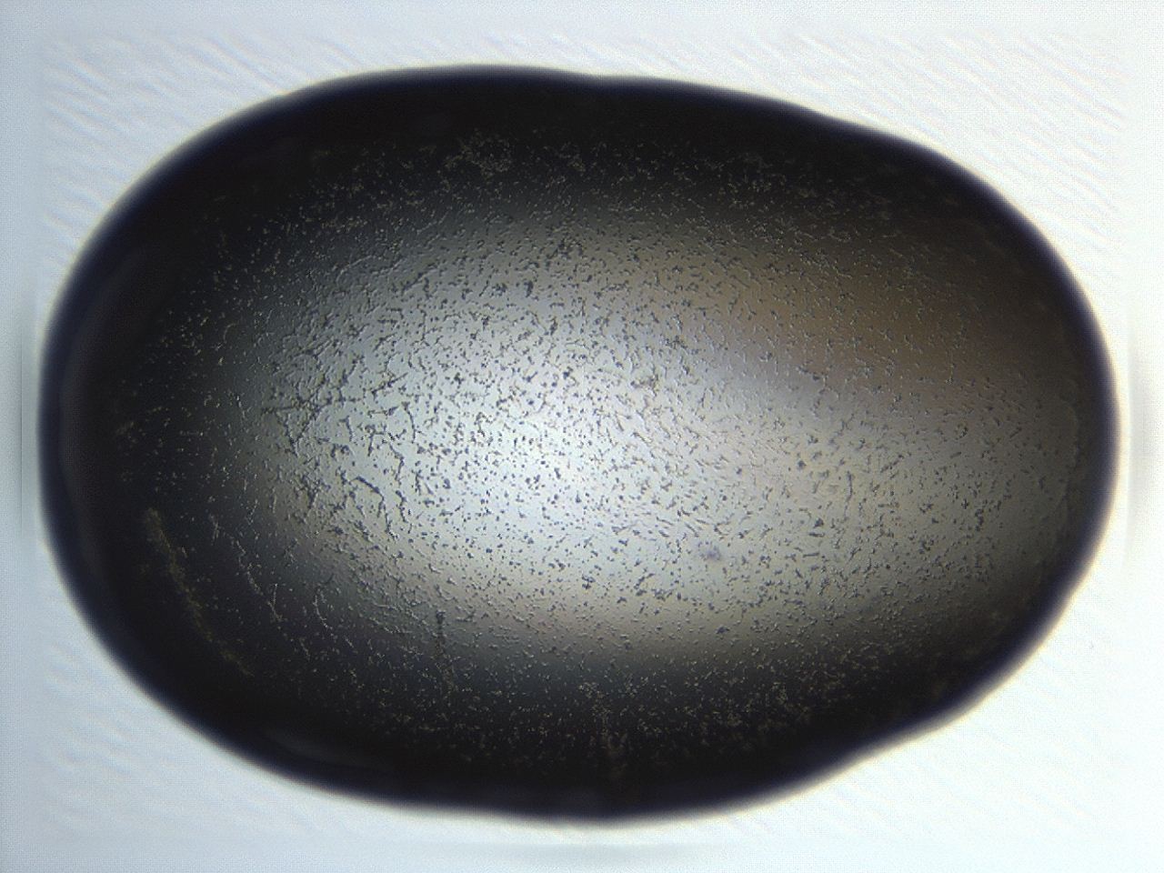04ep_H5_ImagerDefaults_0.jpg