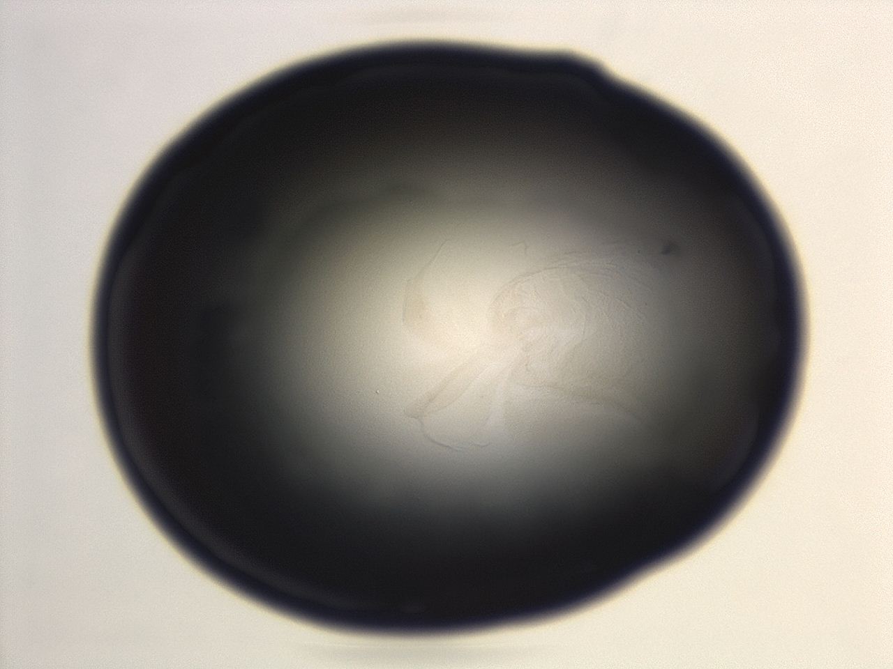 04ep_H10_ImagerDefaults_3.jpg
