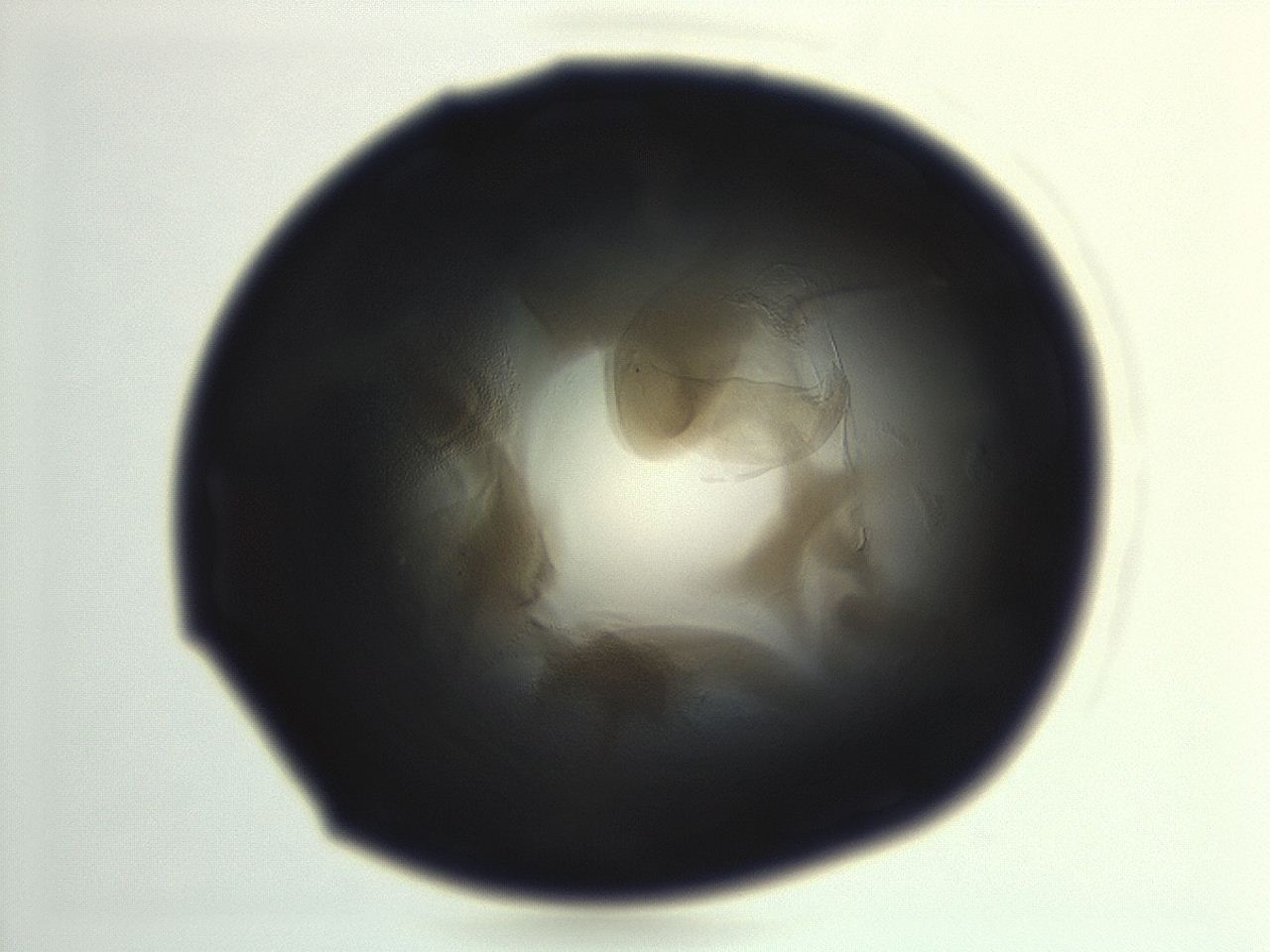 04ep_H11_ImagerDefaults_3.jpg