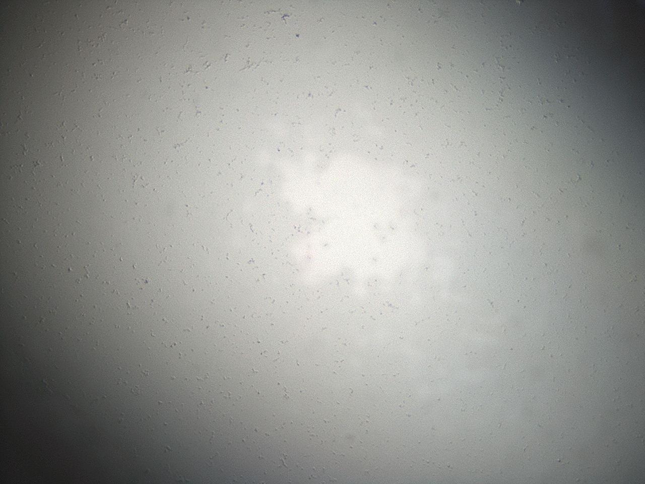 04eq_B6_ImagerDefaults_0.jpg