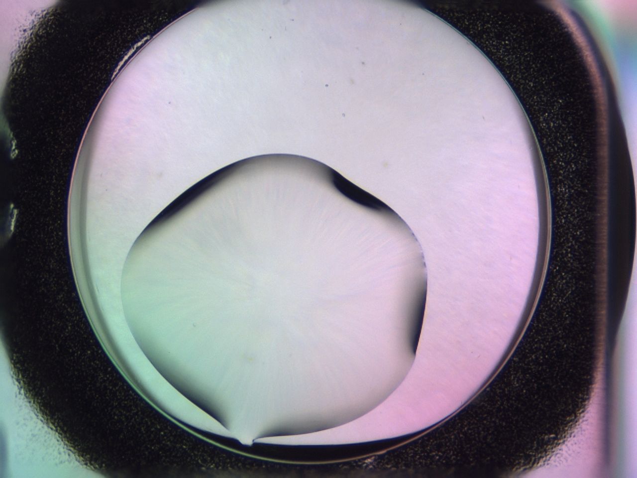 0172_C4_ImagerDefaults_0.jpg