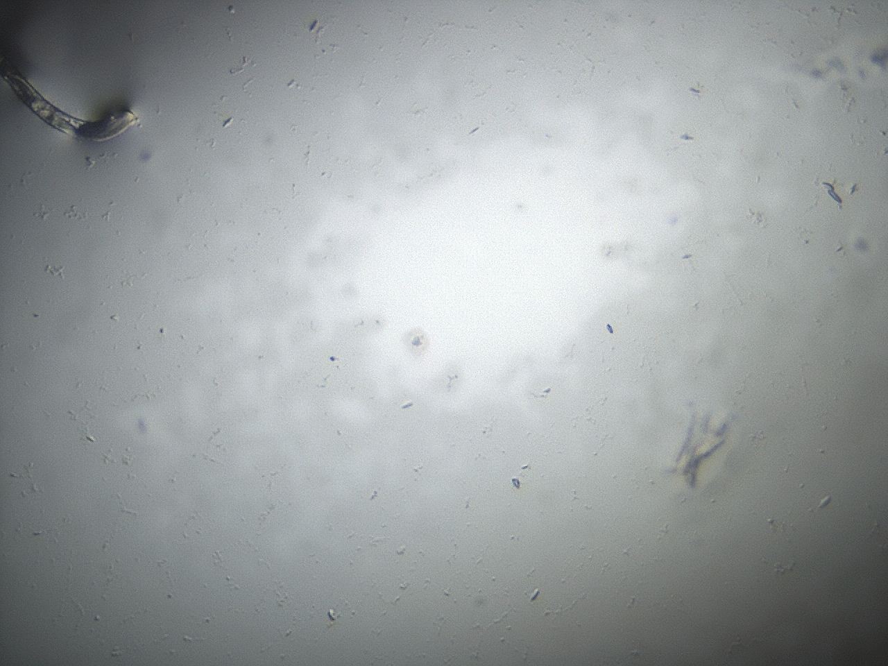 04eq_B9_ImagerDefaults_8.jpg