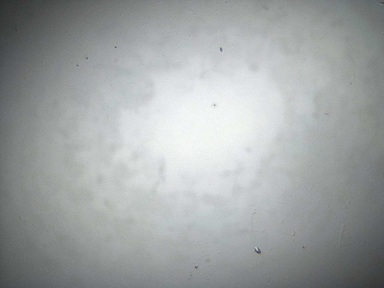 04eq_B10_ImagerDefaults_8.jpg