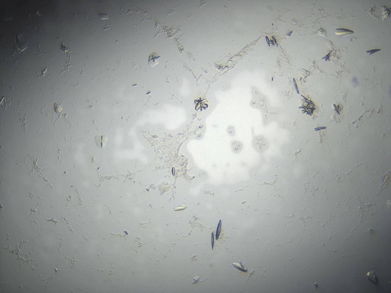04eq_B12_ImagerDefaults_8.jpg