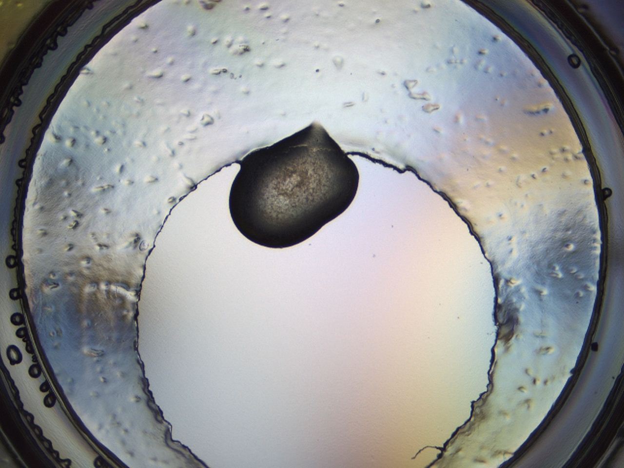 04eq_C2_ImagerDefaults_3.jpg
