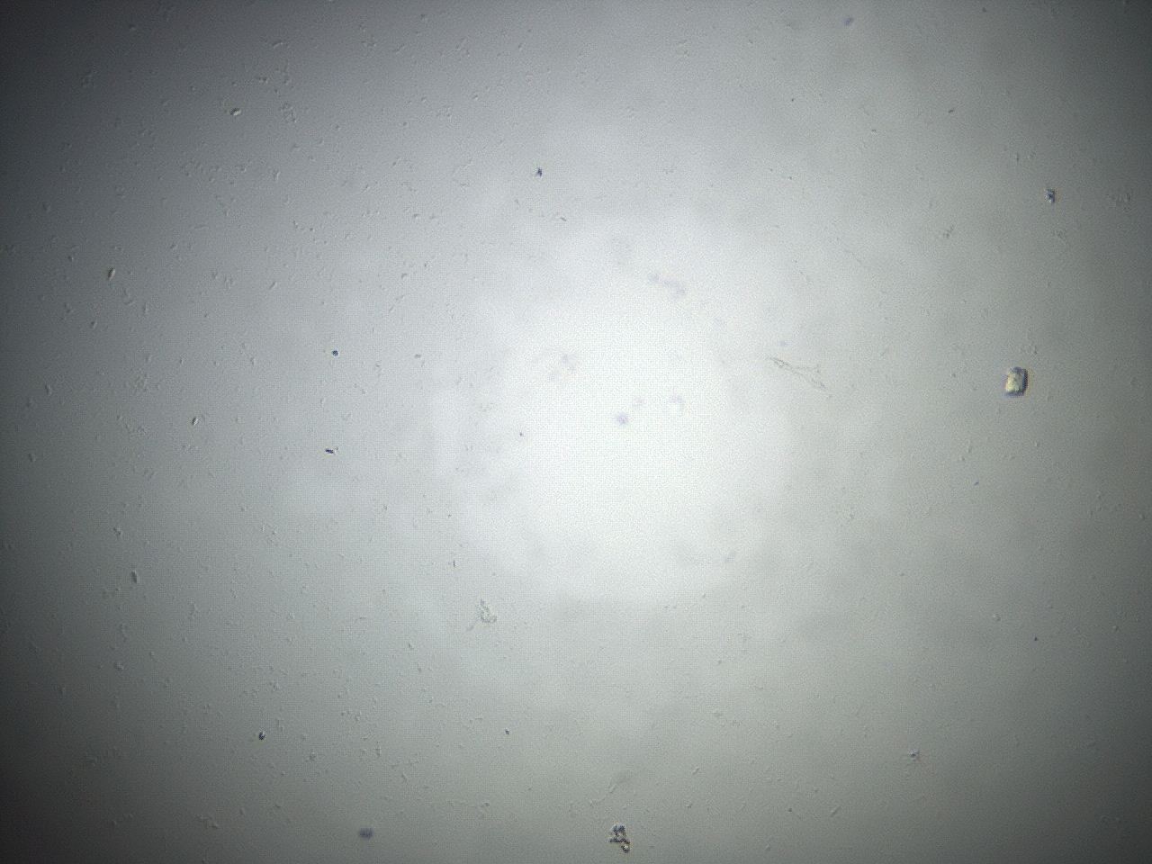 04eq_C5_ImagerDefaults_8.jpg