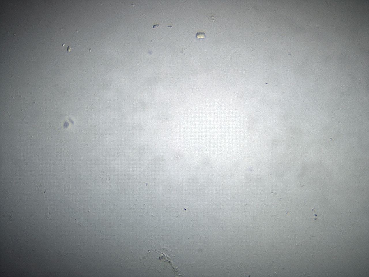 04eq_D6_ImagerDefaults_8.jpg