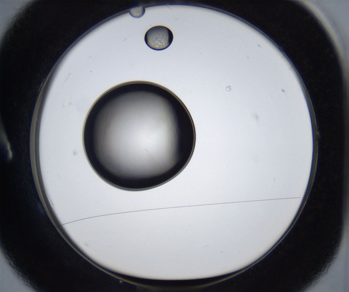 folderID993_plateID2993_batchID16325_wellNum1_profileID1_d1_r247869_ef.jpg