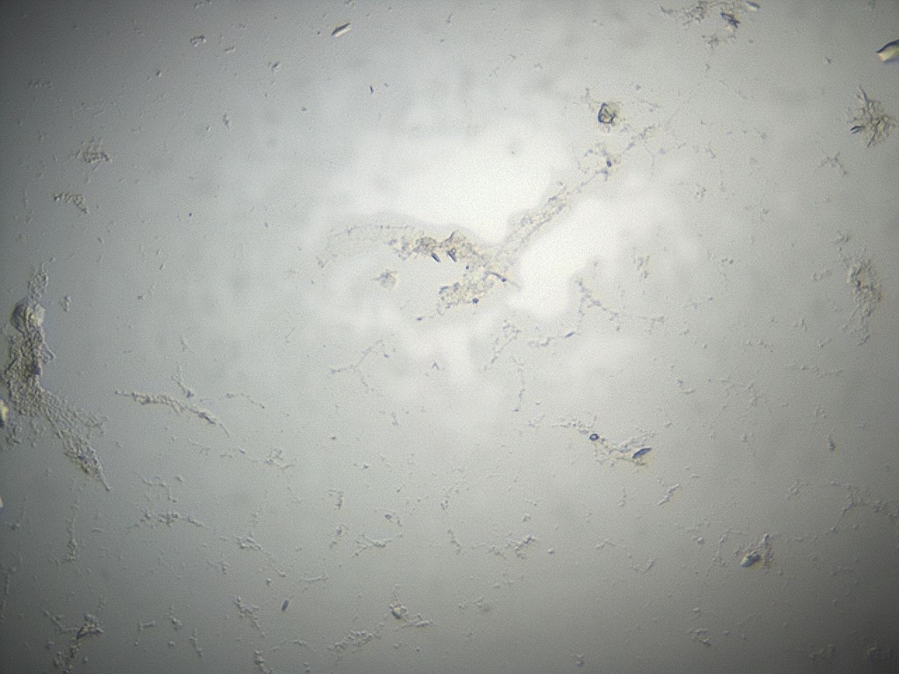 04eq_C12_ImagerDefaults_9.jpg