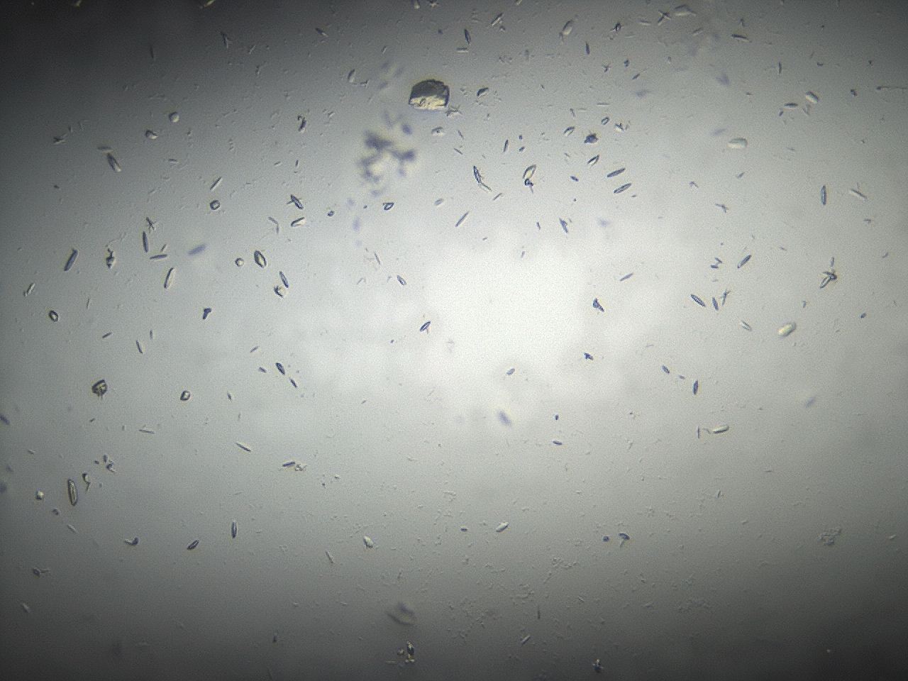 04eq_C8_ImagerDefaults_8.jpg