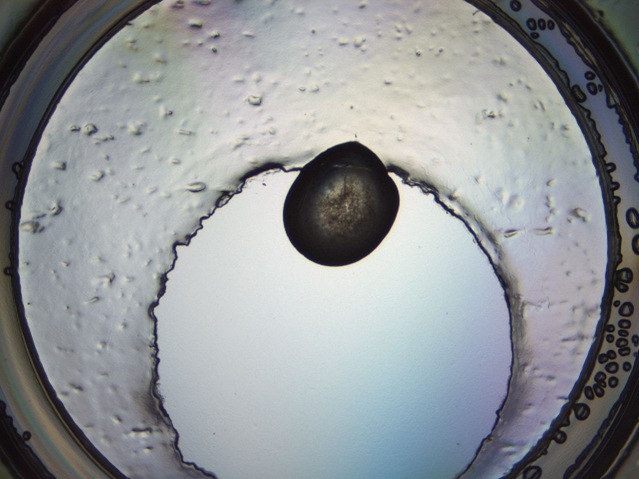 04eq_E1_ImagerDefaults_3.jpg