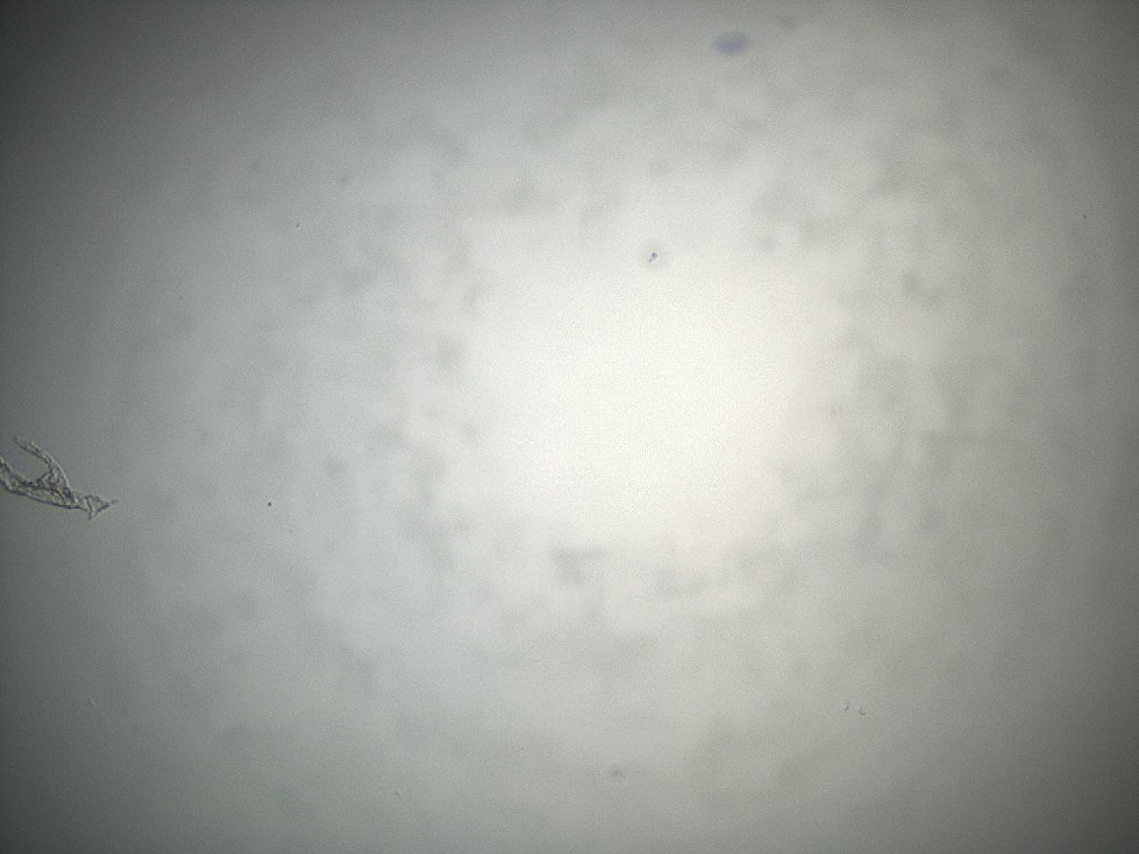 04eq_E9_ImagerDefaults_0.jpg