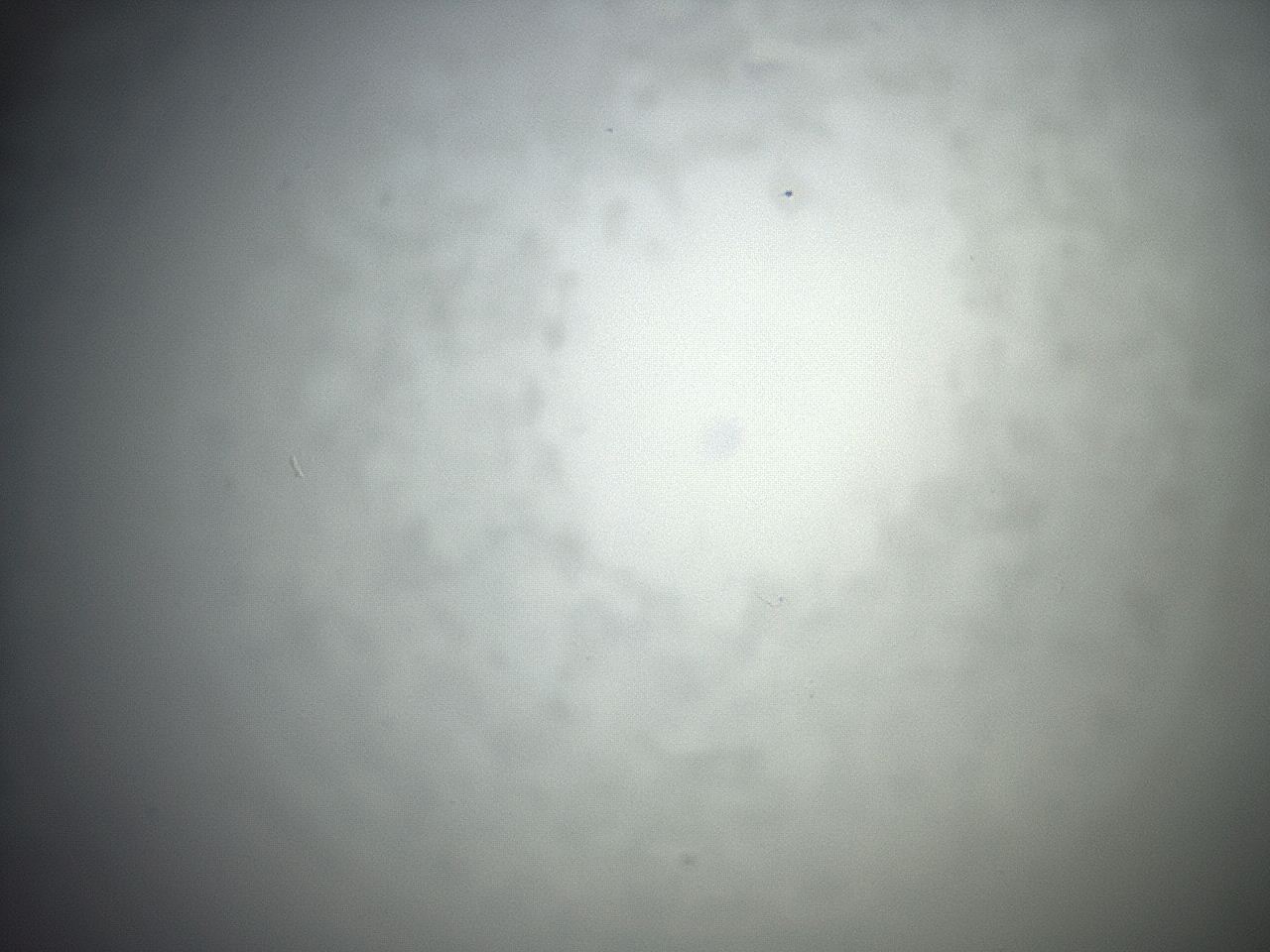 04eq_E10_ImagerDefaults_0.jpg