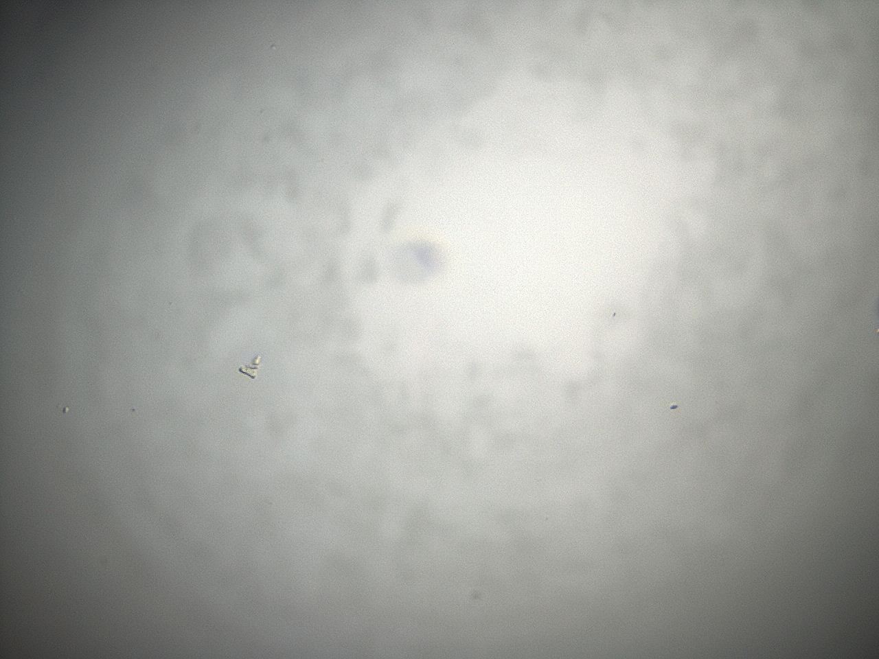 04eq_E11_ImagerDefaults_0.jpg