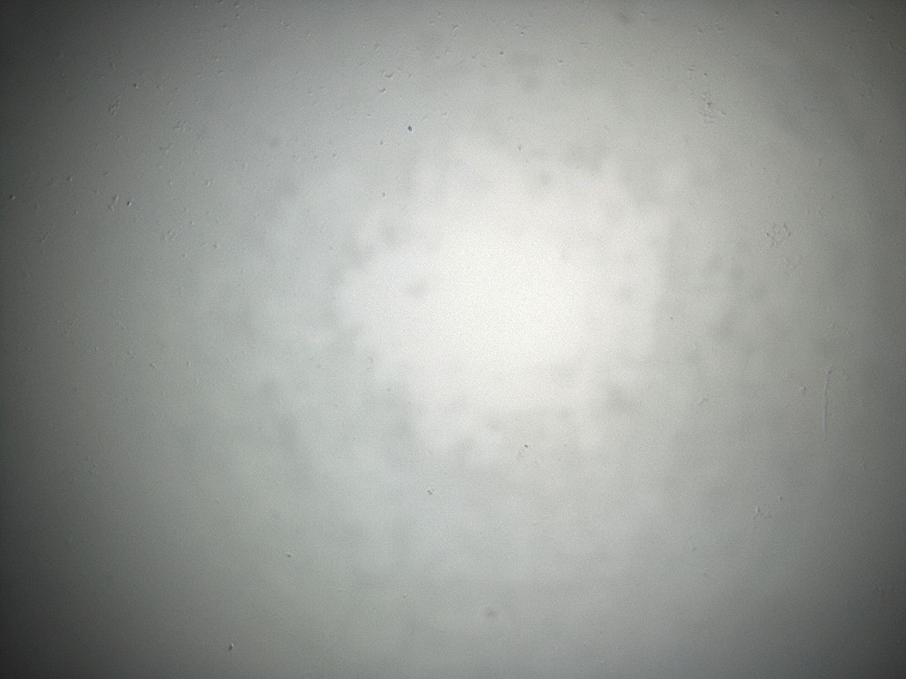 04eq_E12_ImagerDefaults_0.jpg