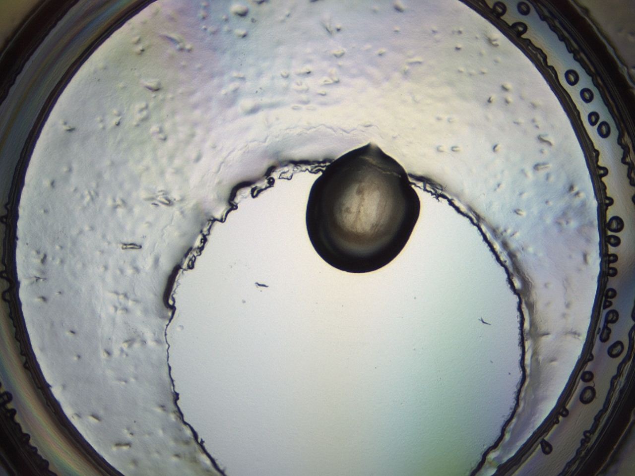 04eq_F1_ImagerDefaults_3.jpg