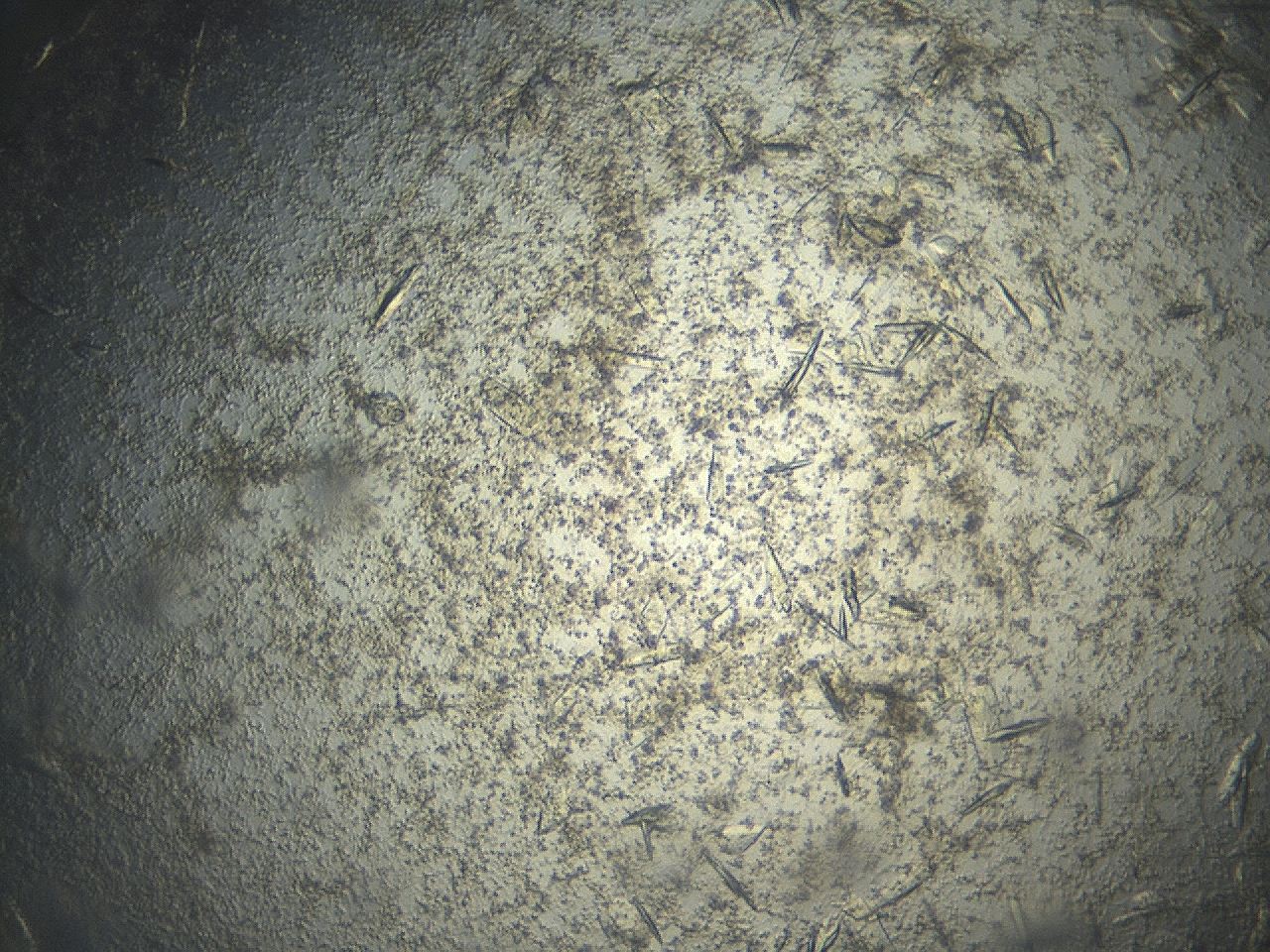 04eq_F2_ImagerDefaults_9.jpg