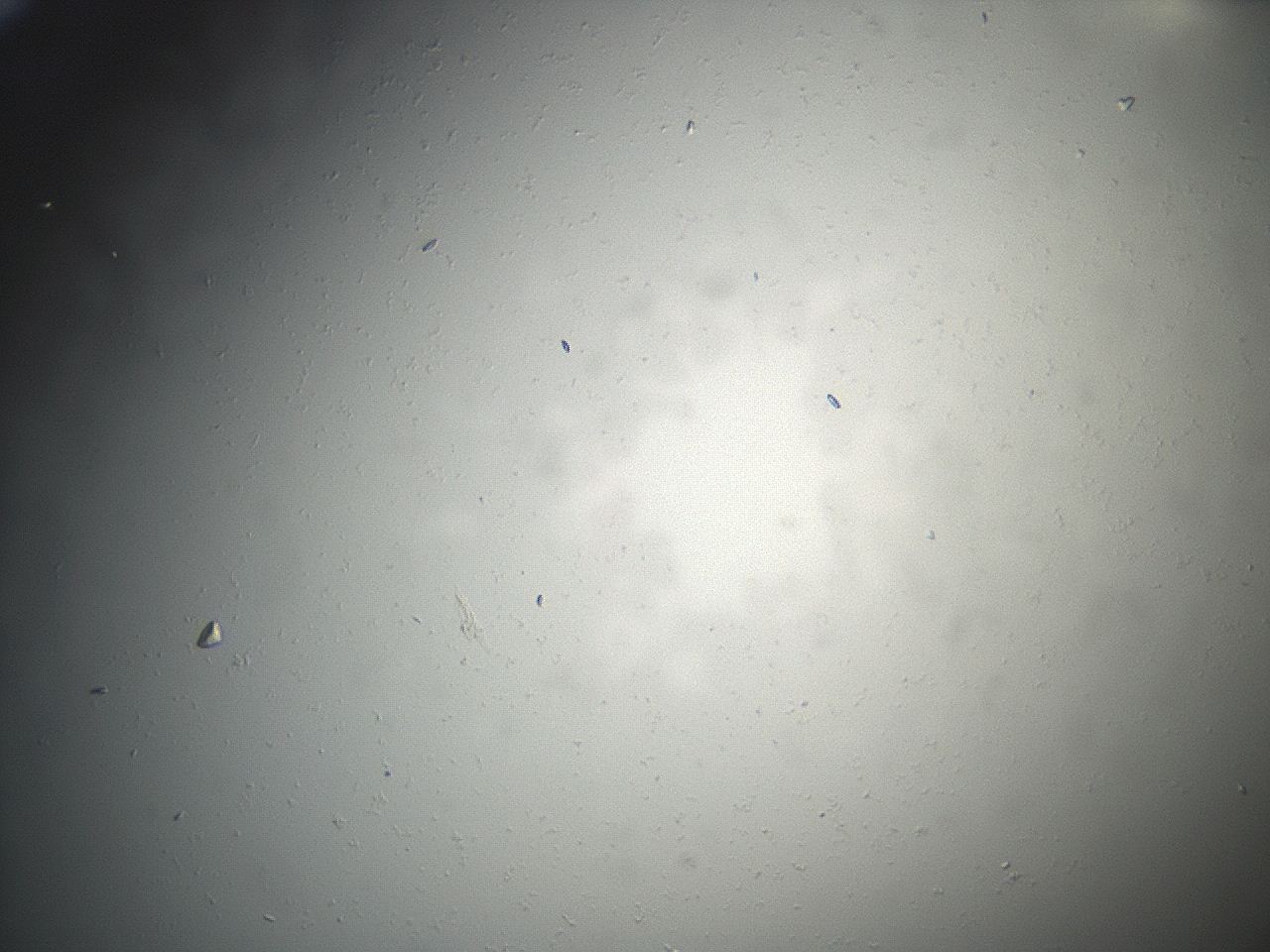 04eq_F3_ImagerDefaults_9.jpg