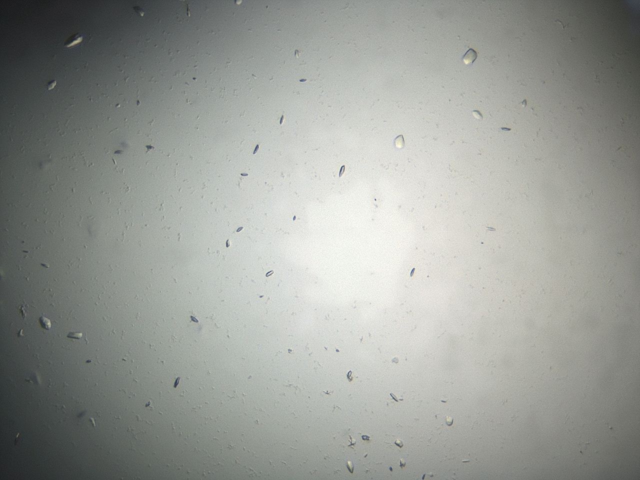 04eq_F4_ImagerDefaults_9.jpg