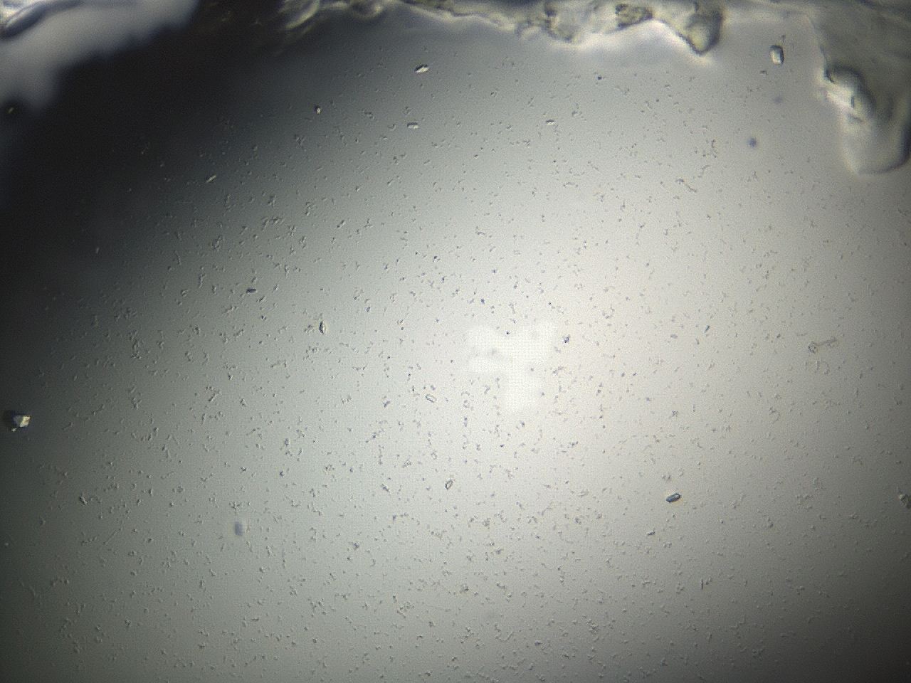 04eq_F5_ImagerDefaults_9.jpg