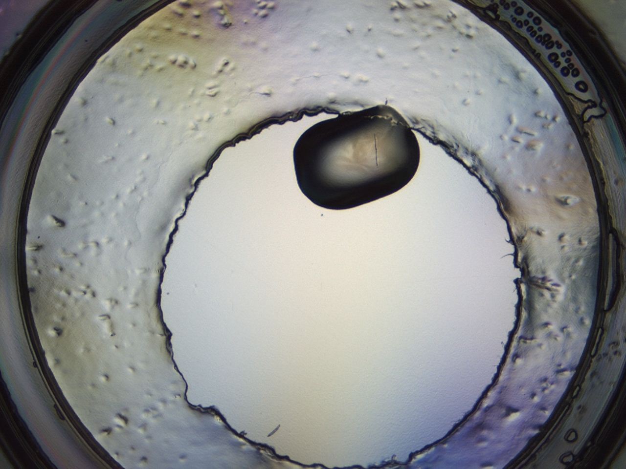 04eq_F7_ImagerDefaults_3.jpg