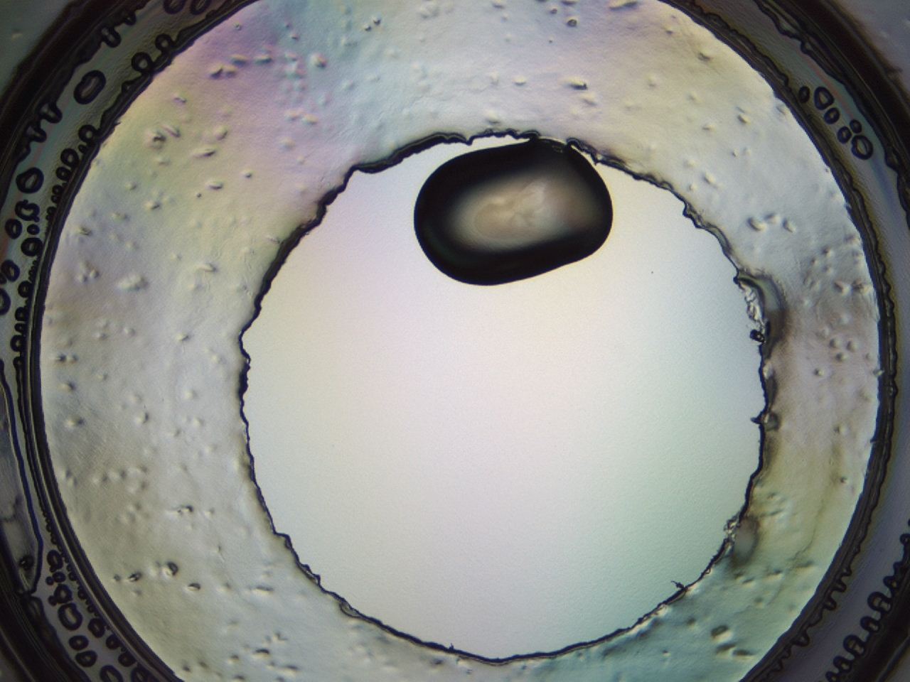 04eq_F8_ImagerDefaults_3.jpg