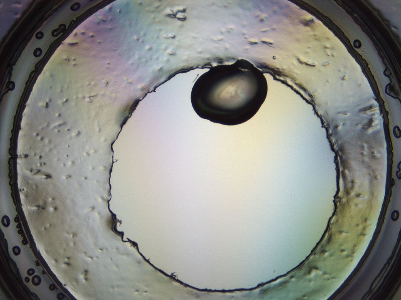 04eq_F9_ImagerDefaults_3.jpg
