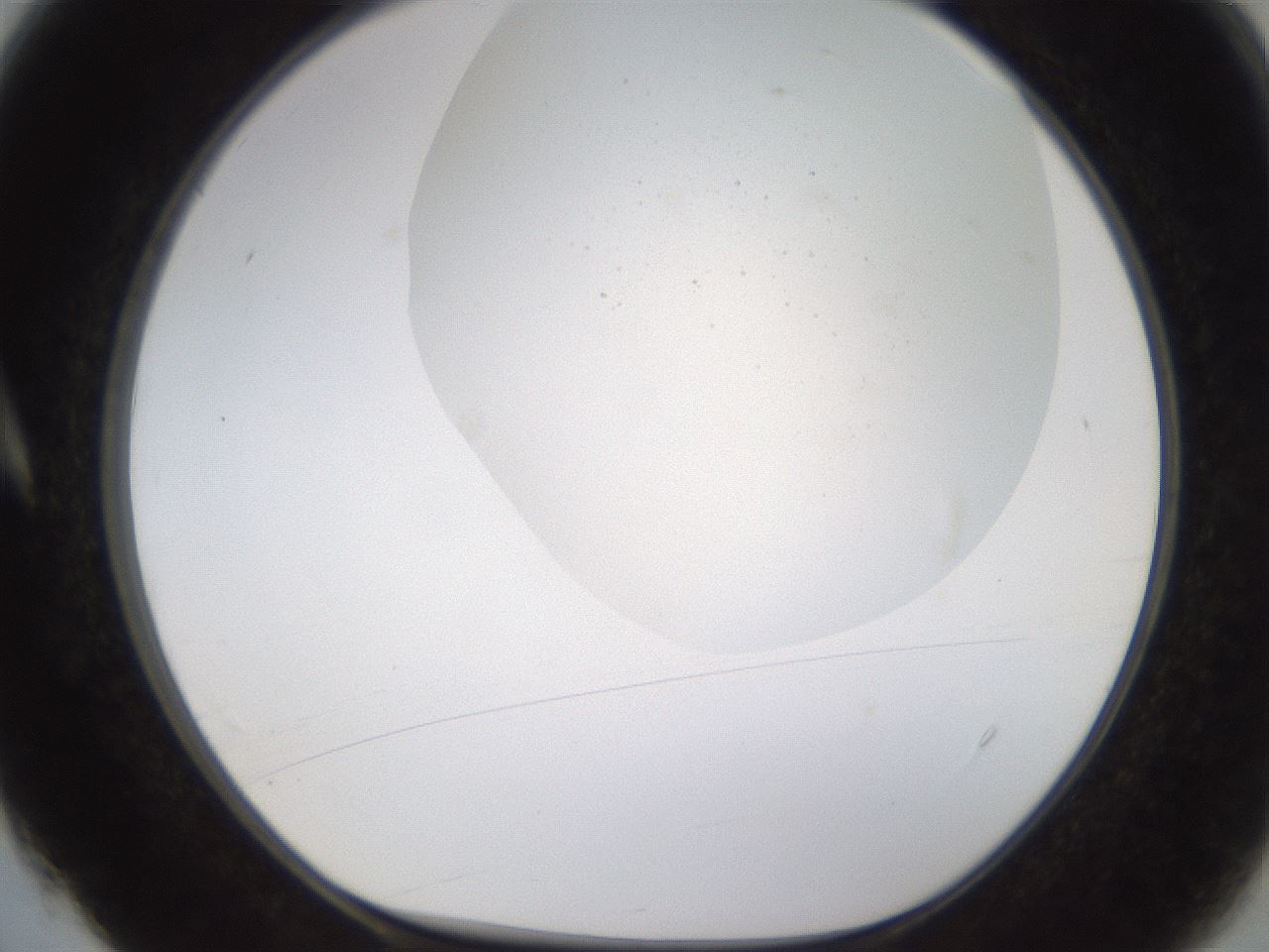 folderID997_plateID2997_batchID16410_wellNum4_profileID1_d1_r250567_ef.jpg