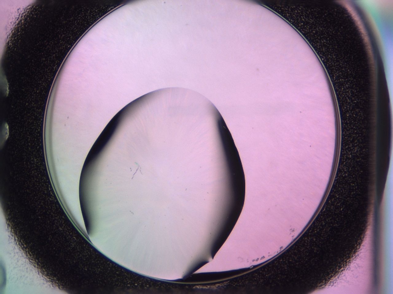 0172_C8_ImagerDefaults_0.jpg