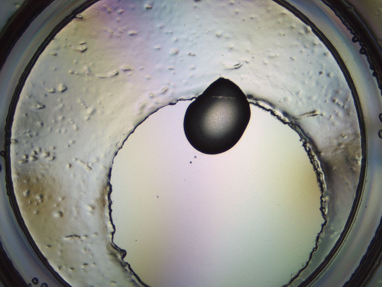 04eq_G3_ImagerDefaults_3.jpg