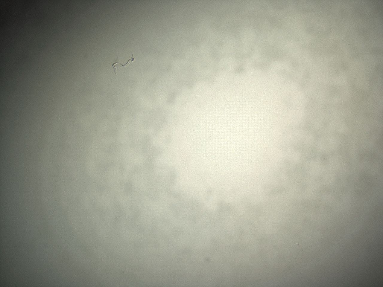 04eq_G6_ImagerDefaults_0.jpg