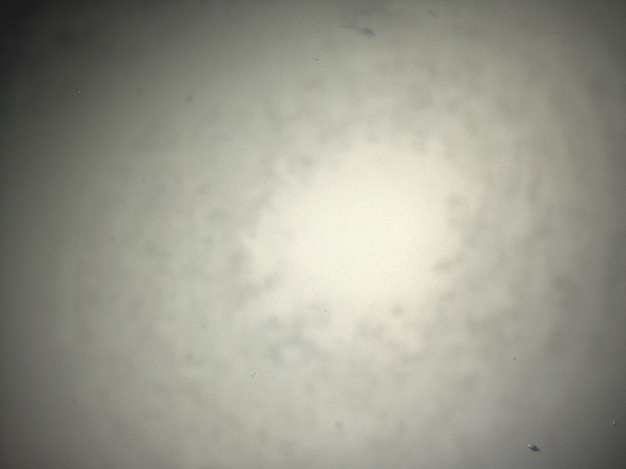 04eq_G10_ImagerDefaults_0.jpg