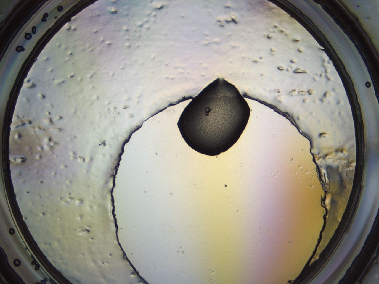 04eq_H2_ImagerDefaults_3.jpg