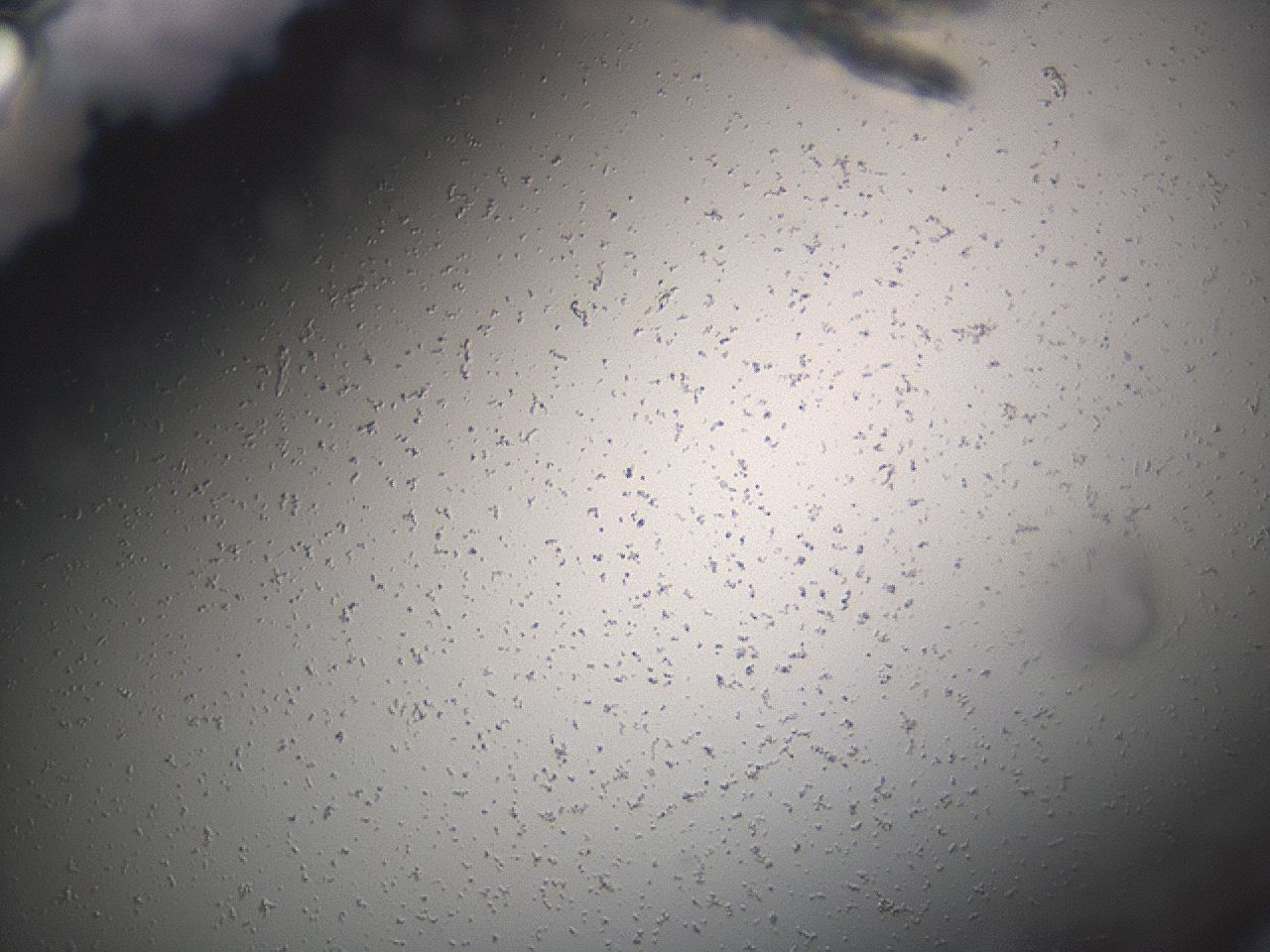 04eq_H6_ImagerDefaults_0.jpg