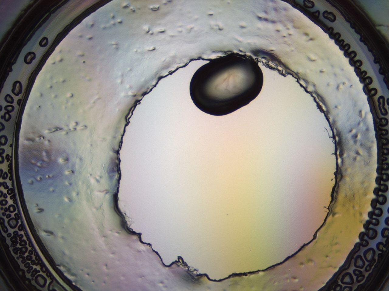 04eq_H10_ImagerDefaults_3.jpg