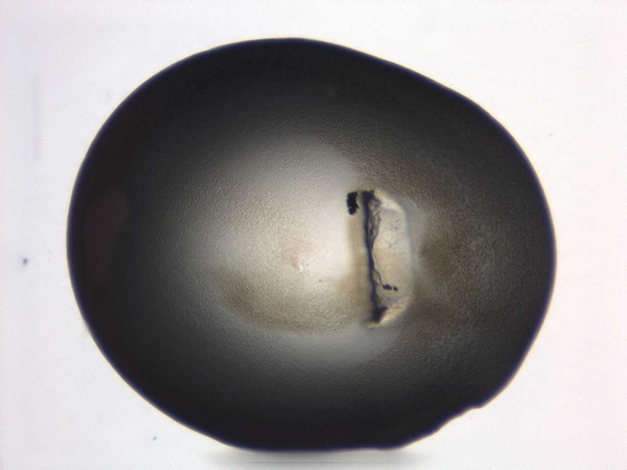 04er_A7_ImagerDefaults_3.jpg
