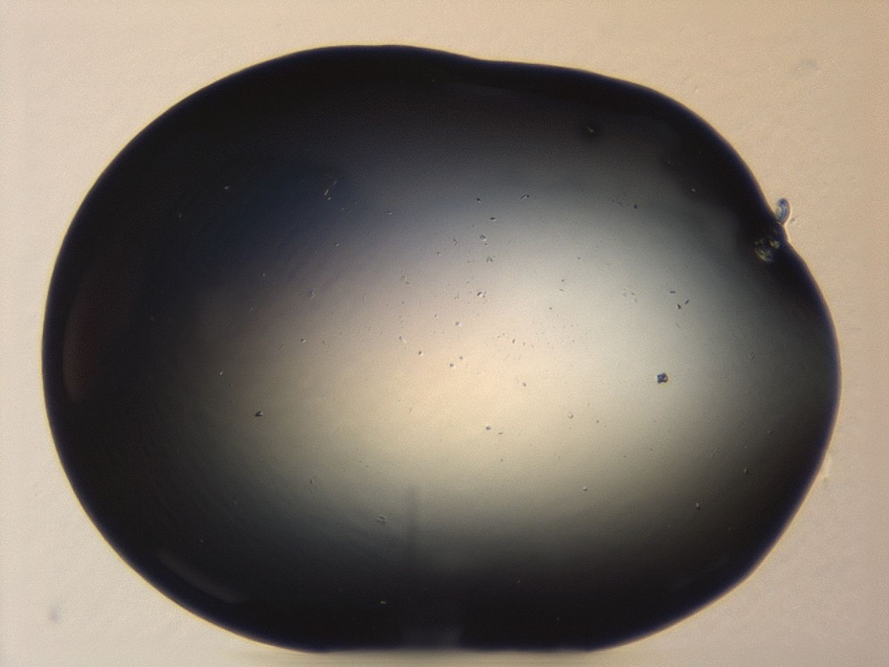 04er_A5_ImagerDefaults_0.jpg