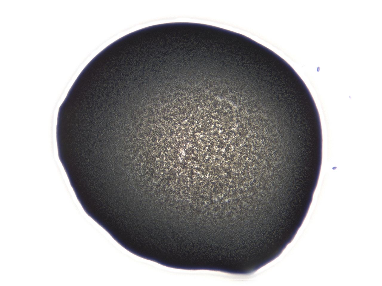 04er_A8_ImagerDefaults_3.jpg