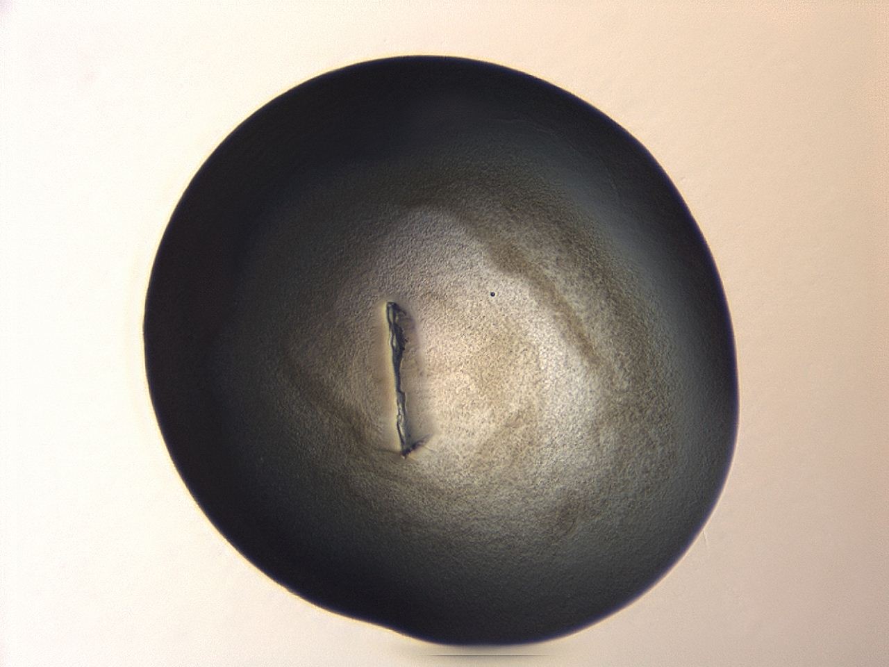 04er_A1_ImagerDefaults_3.jpg