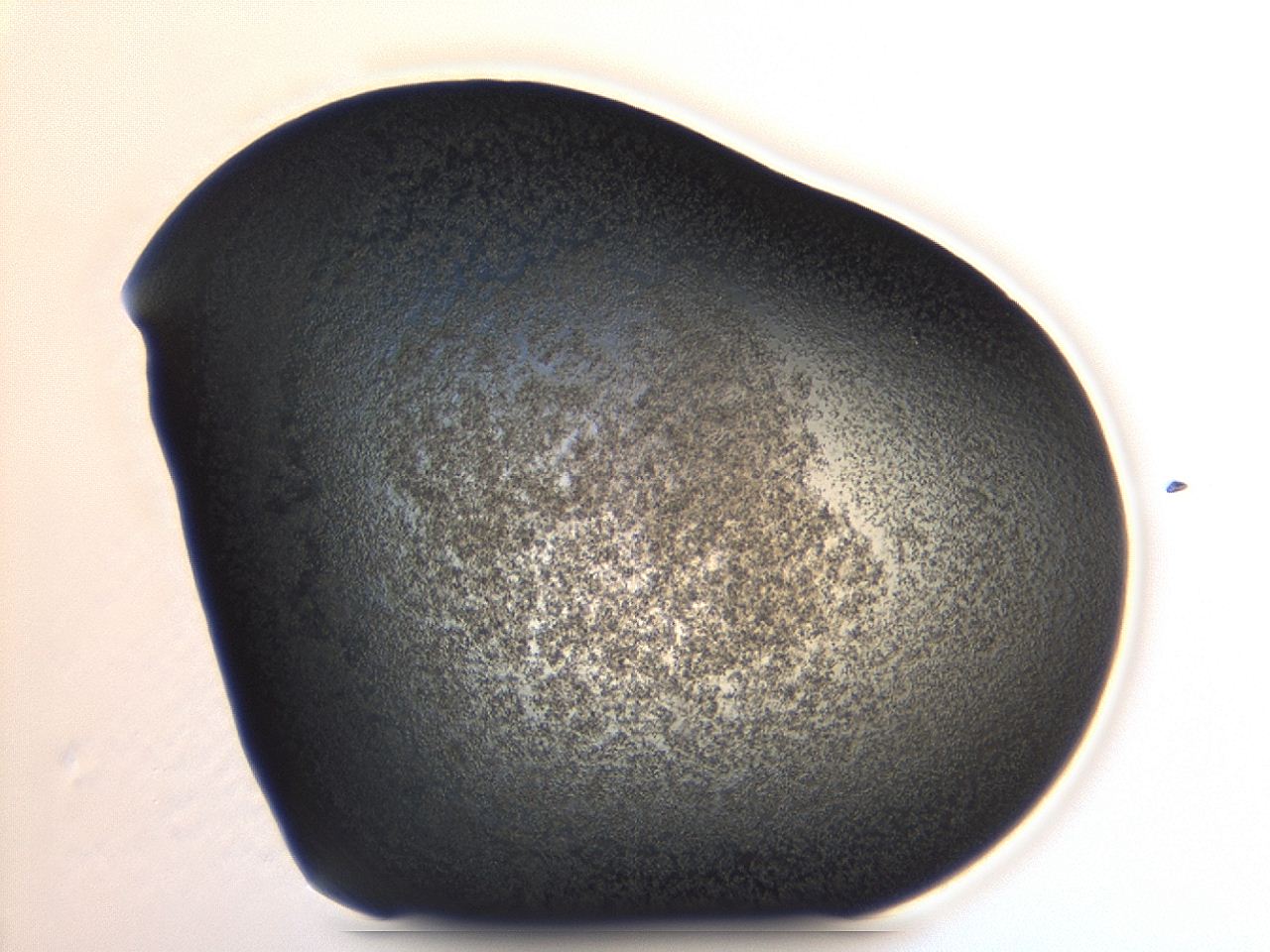 04er_A2_ImagerDefaults_3.jpg