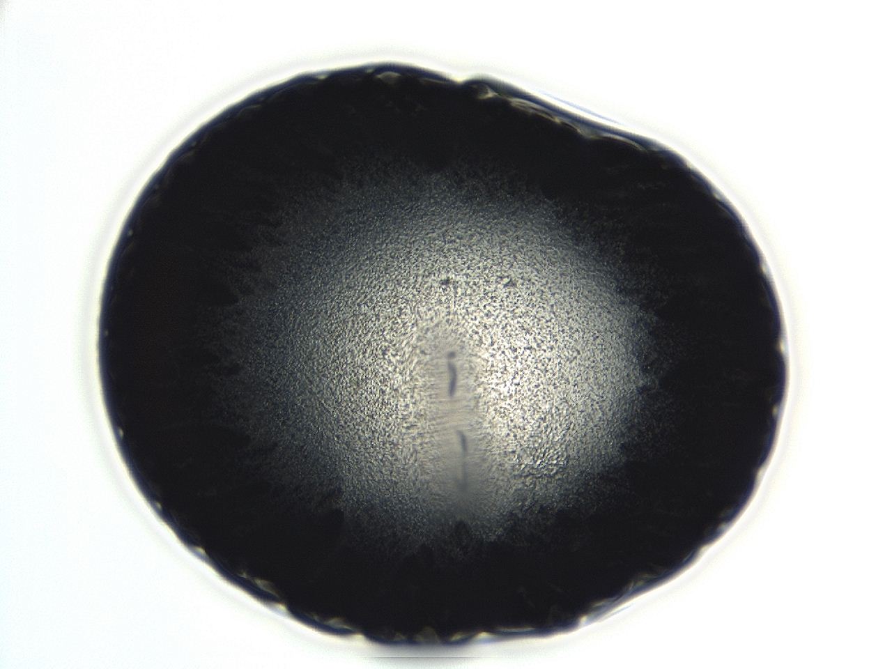 04er_D1_ImagerDefaults_3.jpg