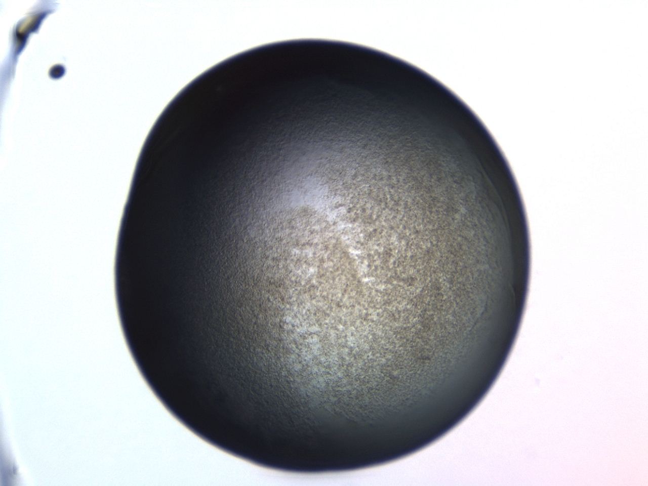 04er_D2_ImagerDefaults_3.jpg