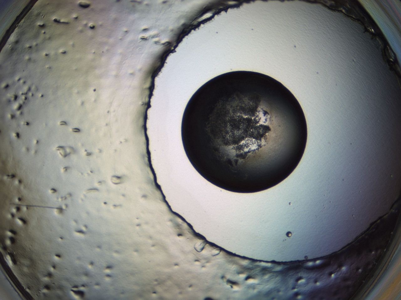 04er_D12_ImagerDefaults_3.jpg