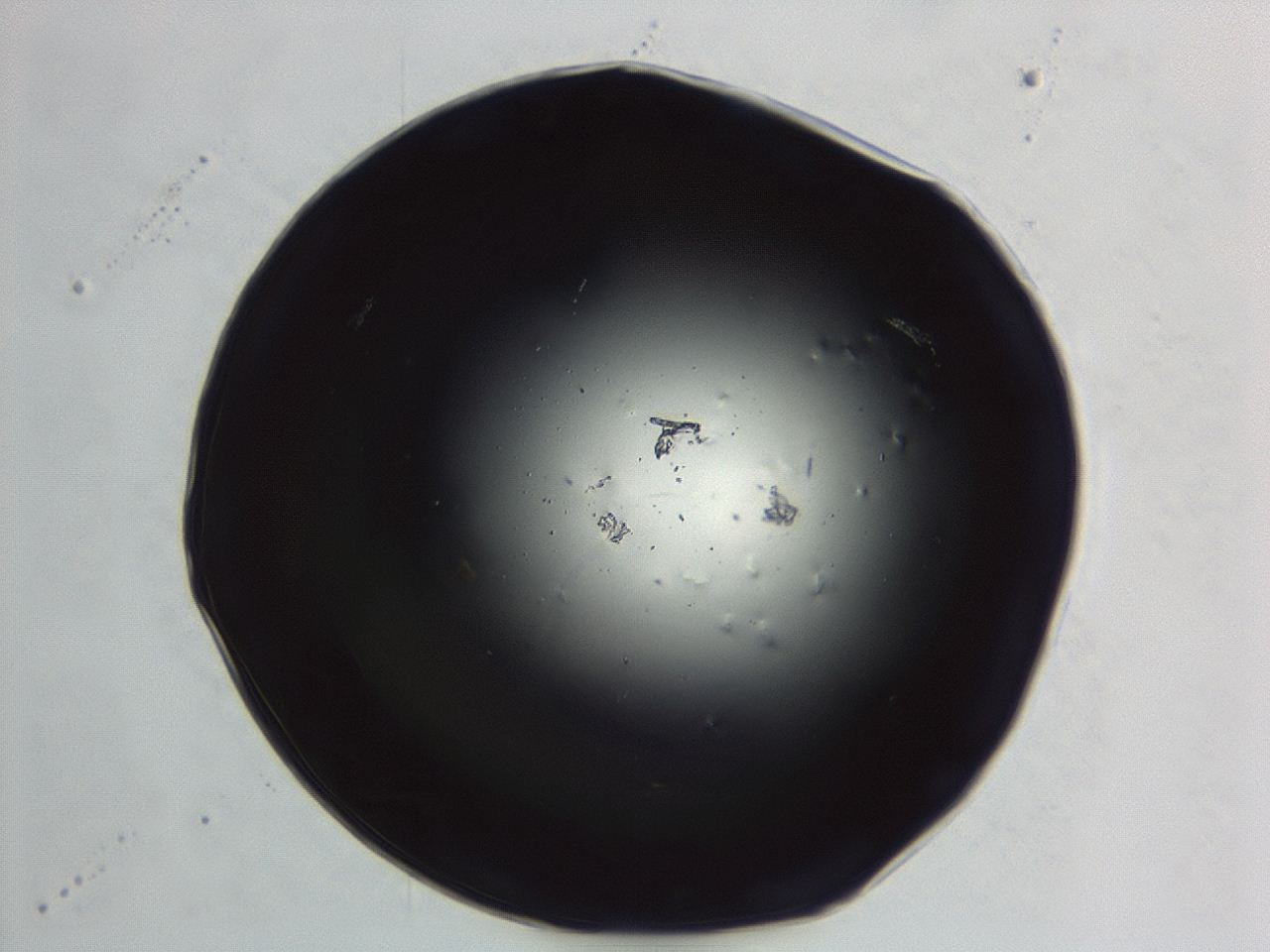 04er_C9_ImagerDefaults_0.jpg