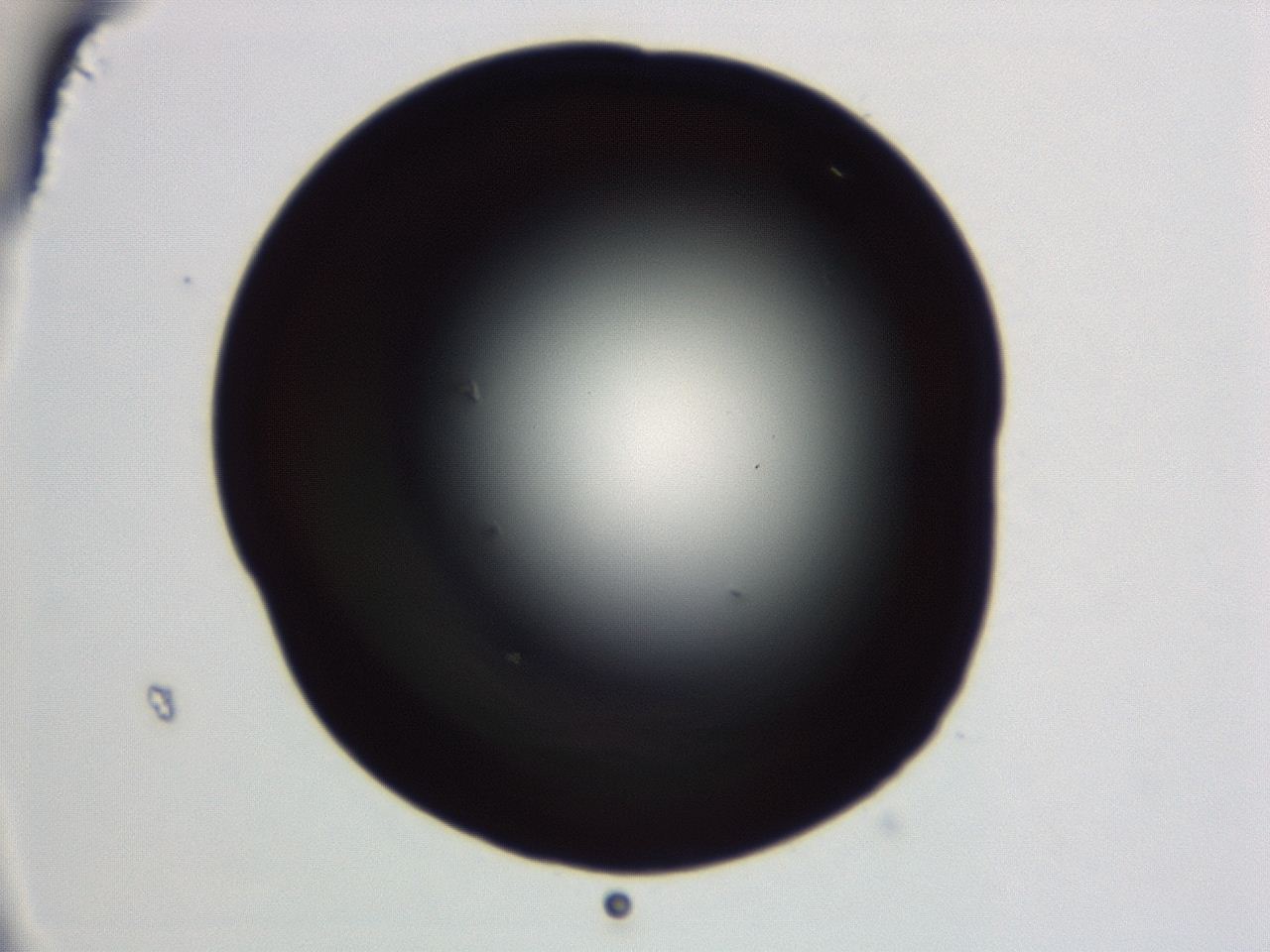 04er_C12_ImagerDefaults_0.jpg
