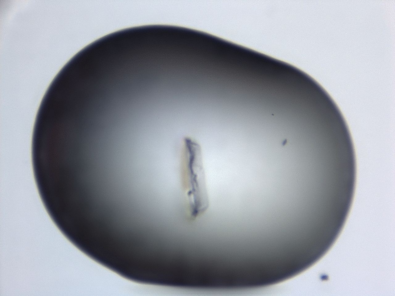 04er_C1_ImagerDefaults_0.jpg