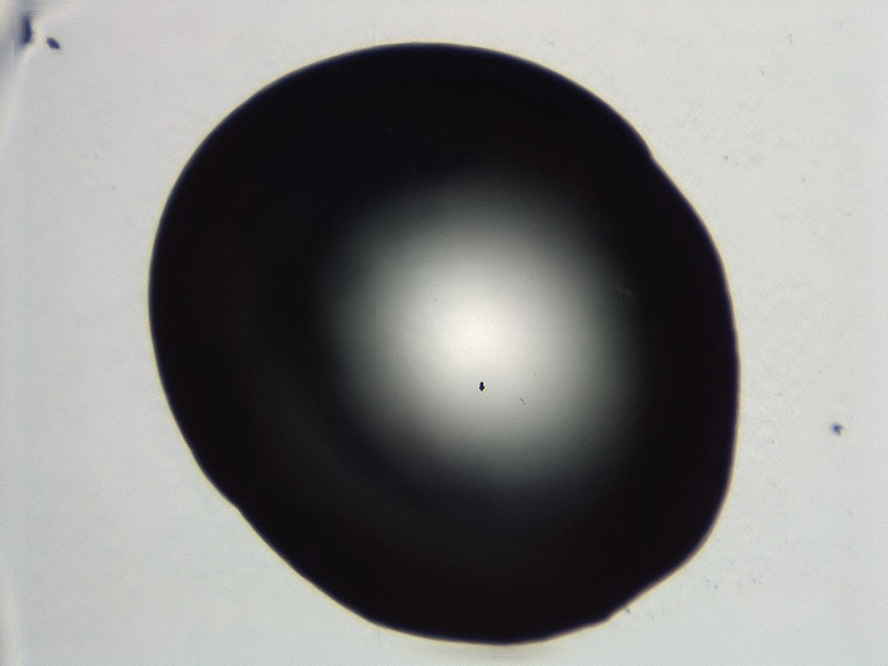 04er_D9_ImagerDefaults_0.jpg