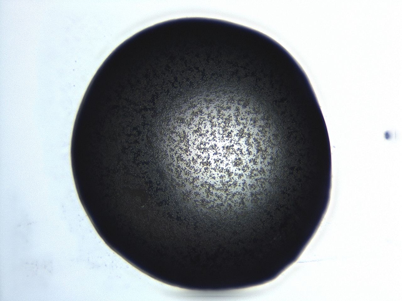 04er_D10_ImagerDefaults_3.jpg