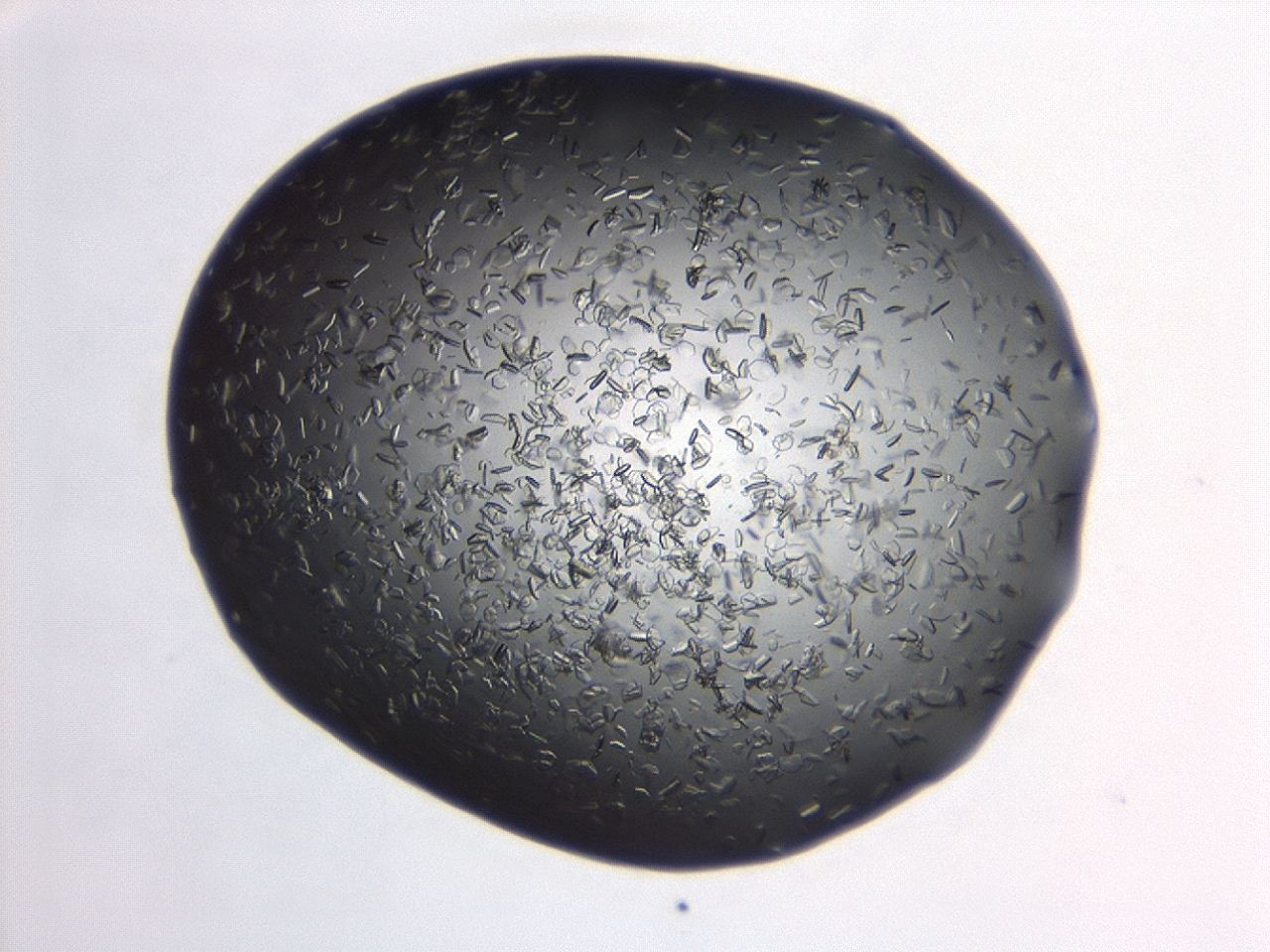 04er_B12_ImagerDefaults_8.jpg